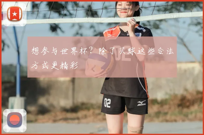 想参与世界杯？除了买球这些合法方式更精彩