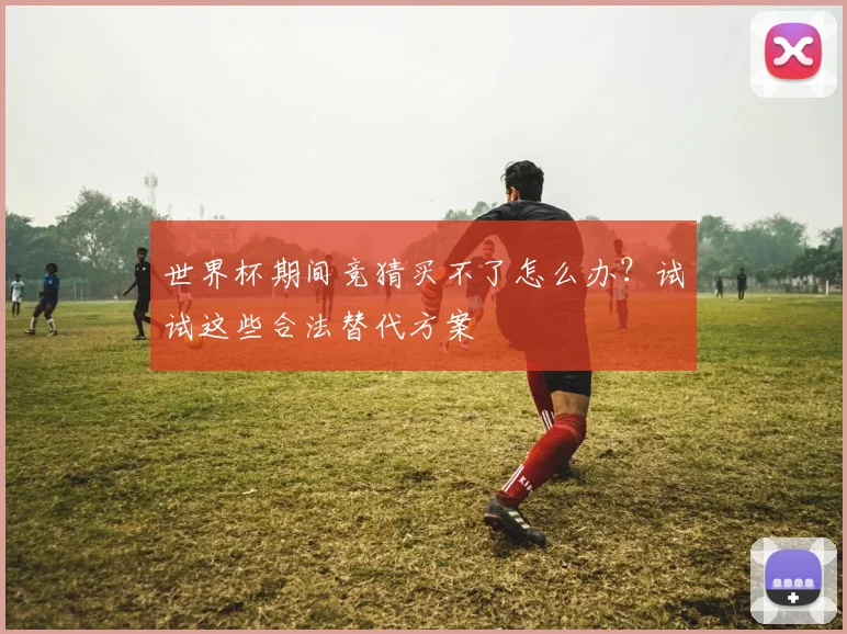 世界杯期间竞猜买不了怎么办？试试这些合法替代方案