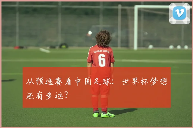 从预选赛看中国足球：世界杯梦想还有多远？
