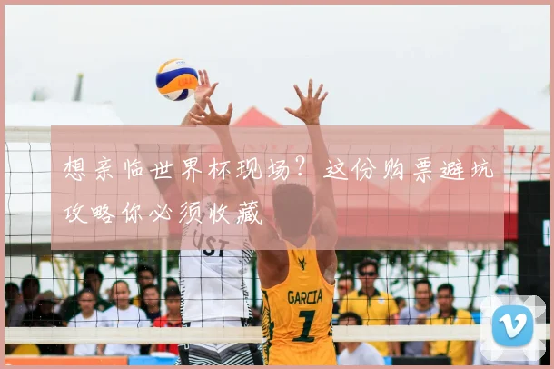 想亲临世界杯现场？这份购票避坑攻略你必须收藏