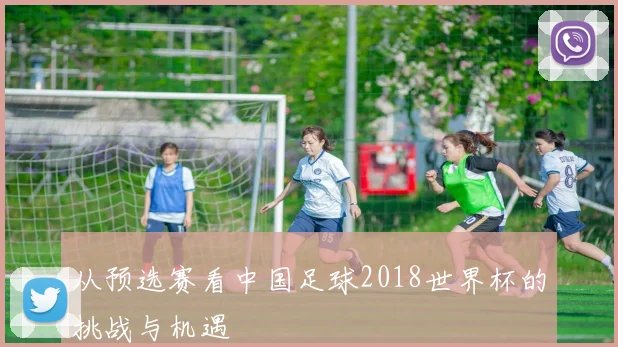 从预选赛看中国足球2018世界杯的挑战与机遇
