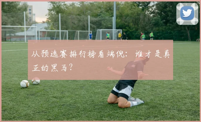 从预选赛排行榜看端倪：谁才是真正的黑马？
